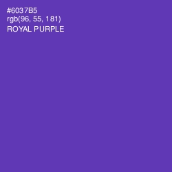 #6037B5 - Royal Purple Color Image